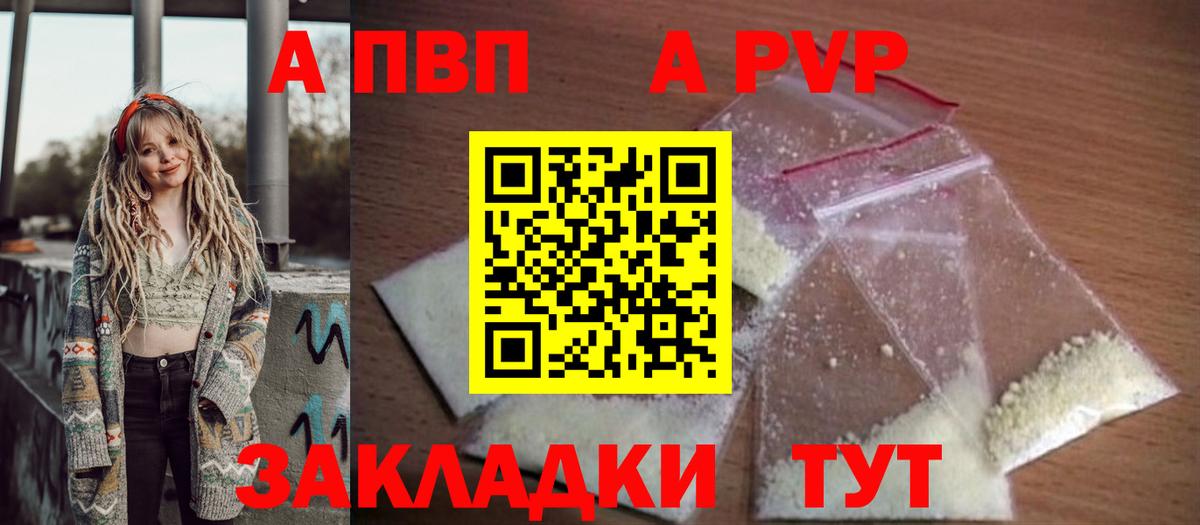 Alfa_PVP СК Майкоп